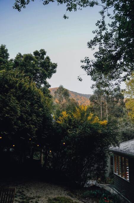 Harrys House Warburton - Peaceful Riverside Cottage In The Perfect Location Exterior photo